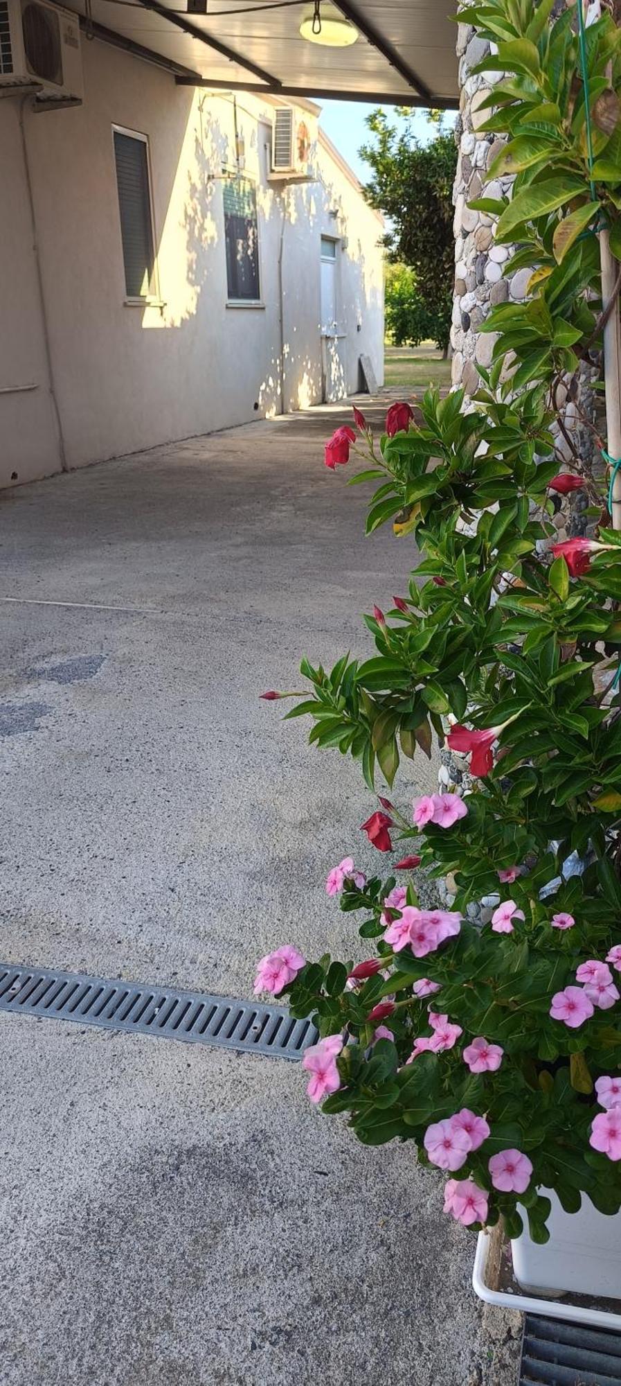Holiday home Villetta Scolacium Borgia